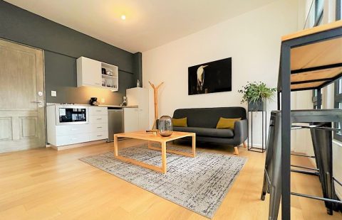 Hermoso loft amueblado en venta en el centro CDMX