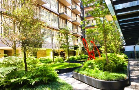 Departamento en Renta en Polanco, Hermoso y Amueblado!